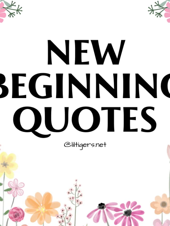 new beginning quotes for kids