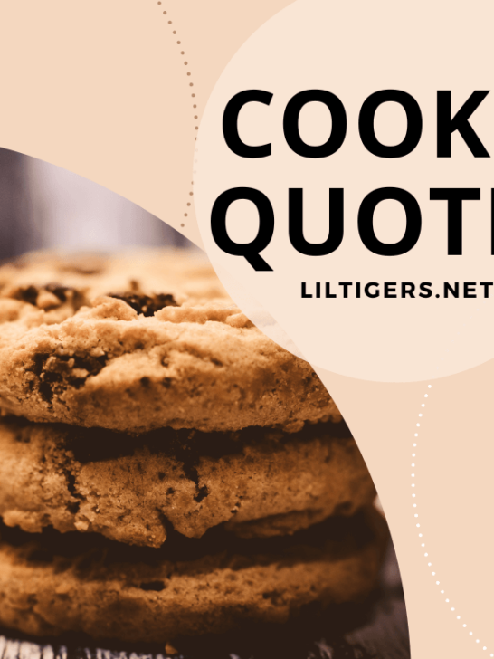 best cookie quotes for kids