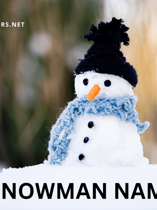 best snowman names