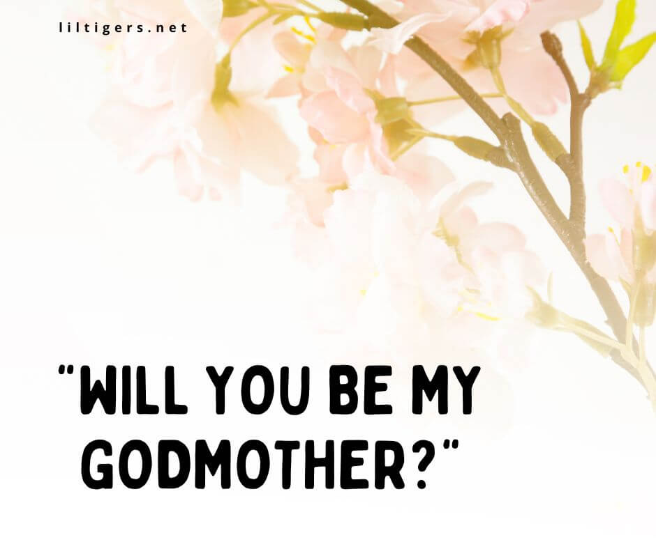 Funny Godmother Captions