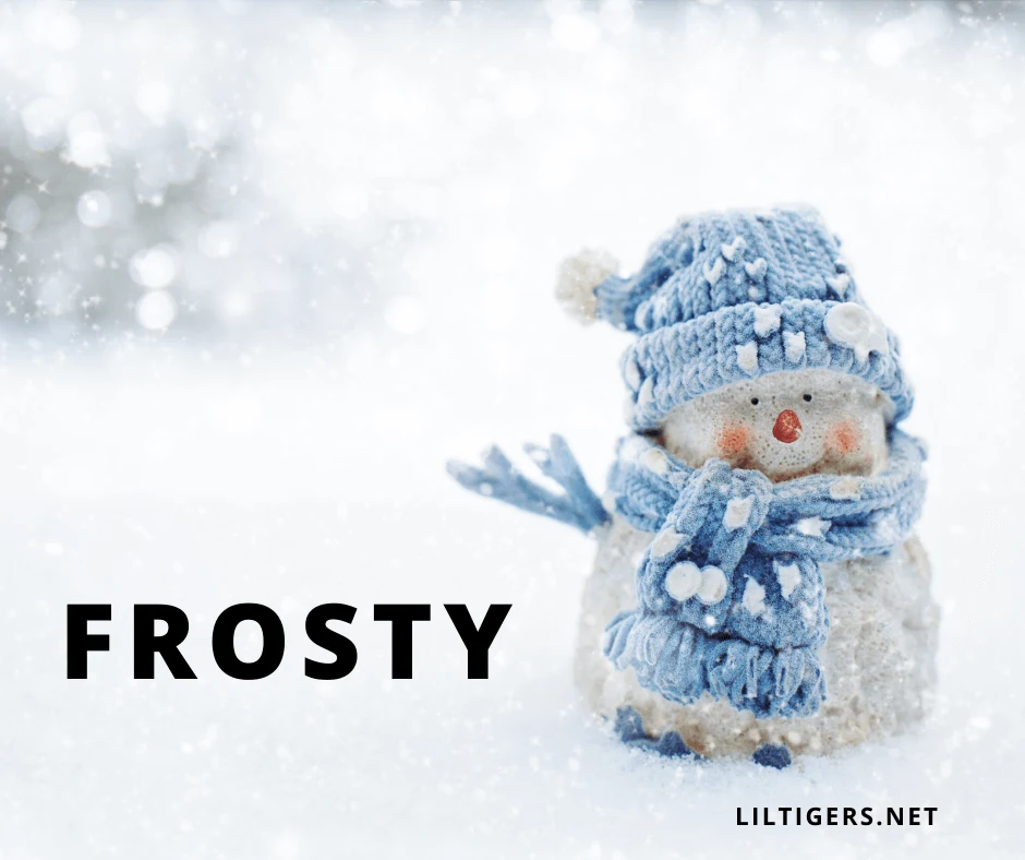 funny snowman names