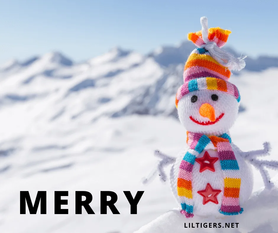christmas snowman name
