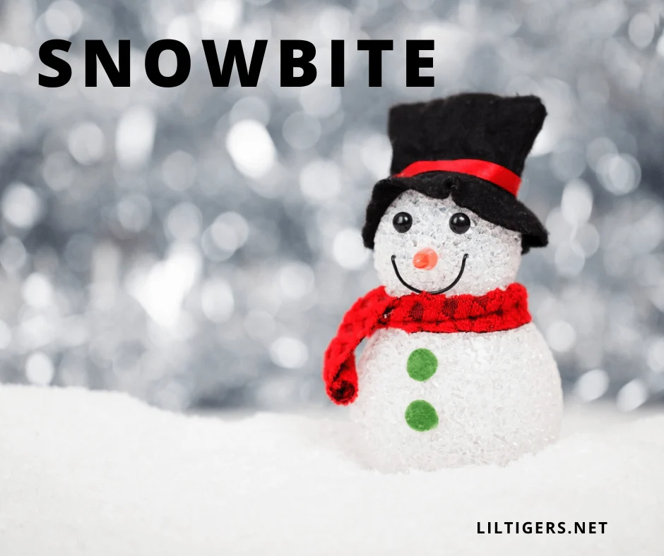 name for snowmen