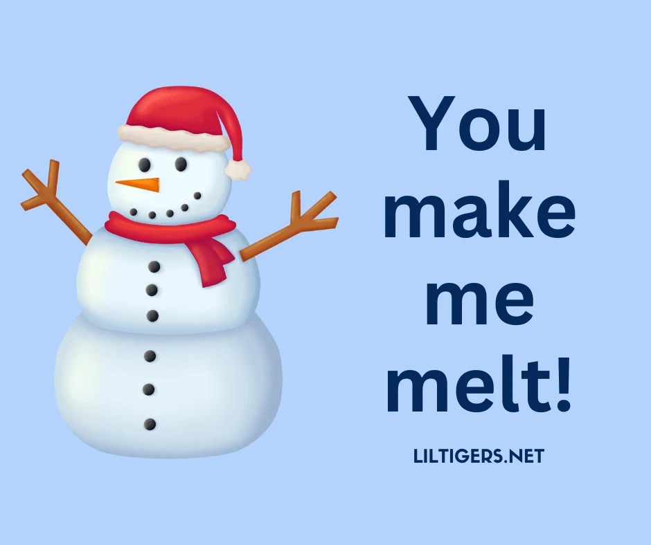 funny snowman puns for kids