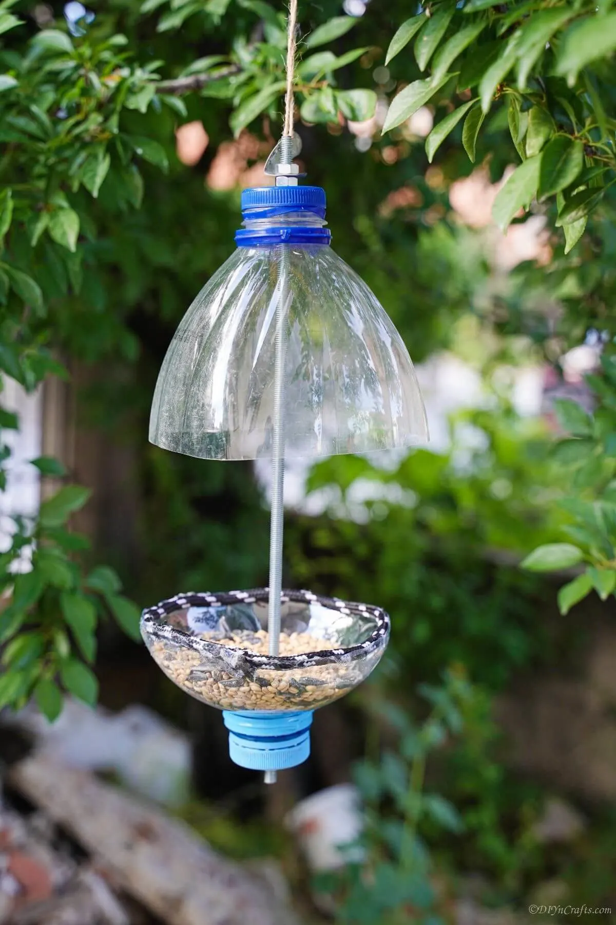 diy bird feeder winter activtiy for kids