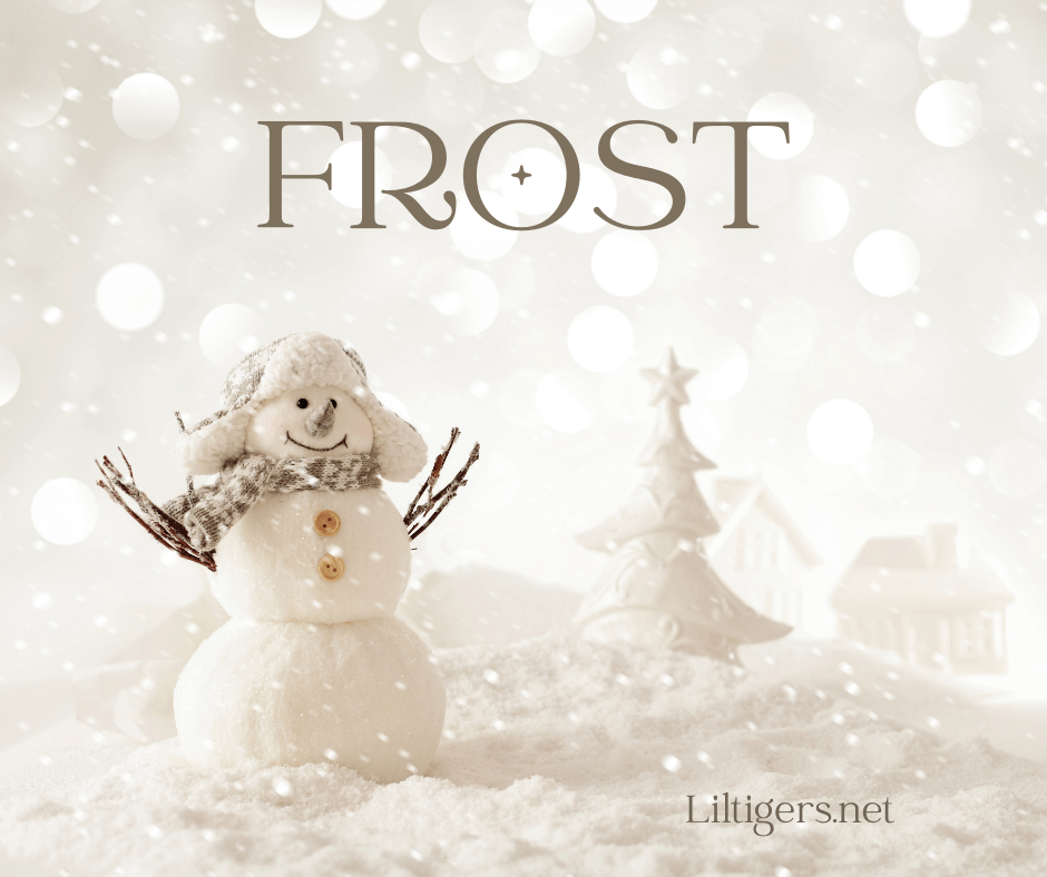 best snowman names