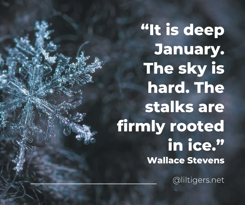 140 Hello January Quotes, Sayings & Wishes (2025) Lil Tigers