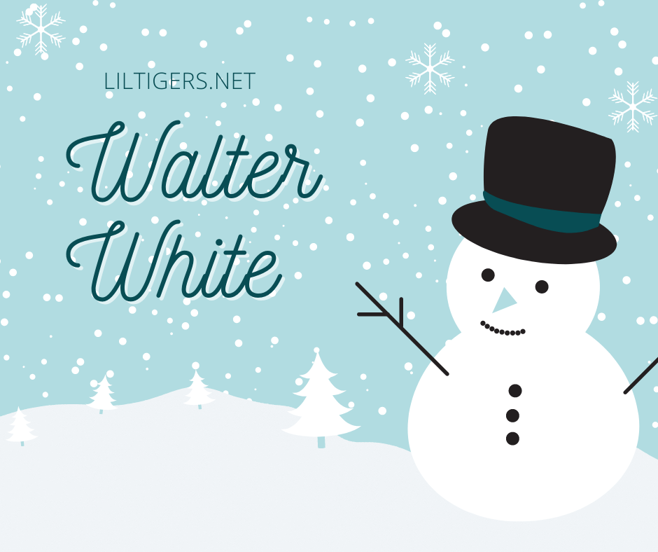 names for snowmen