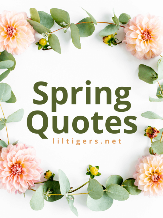 hello spring quotes for kids