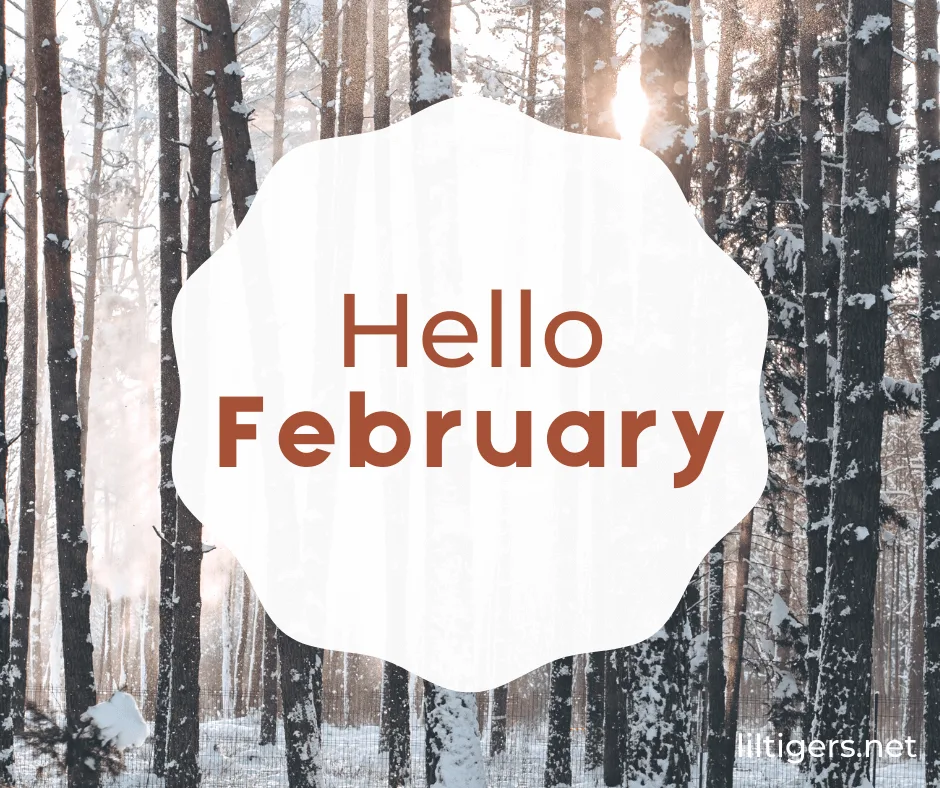 hello february quotes