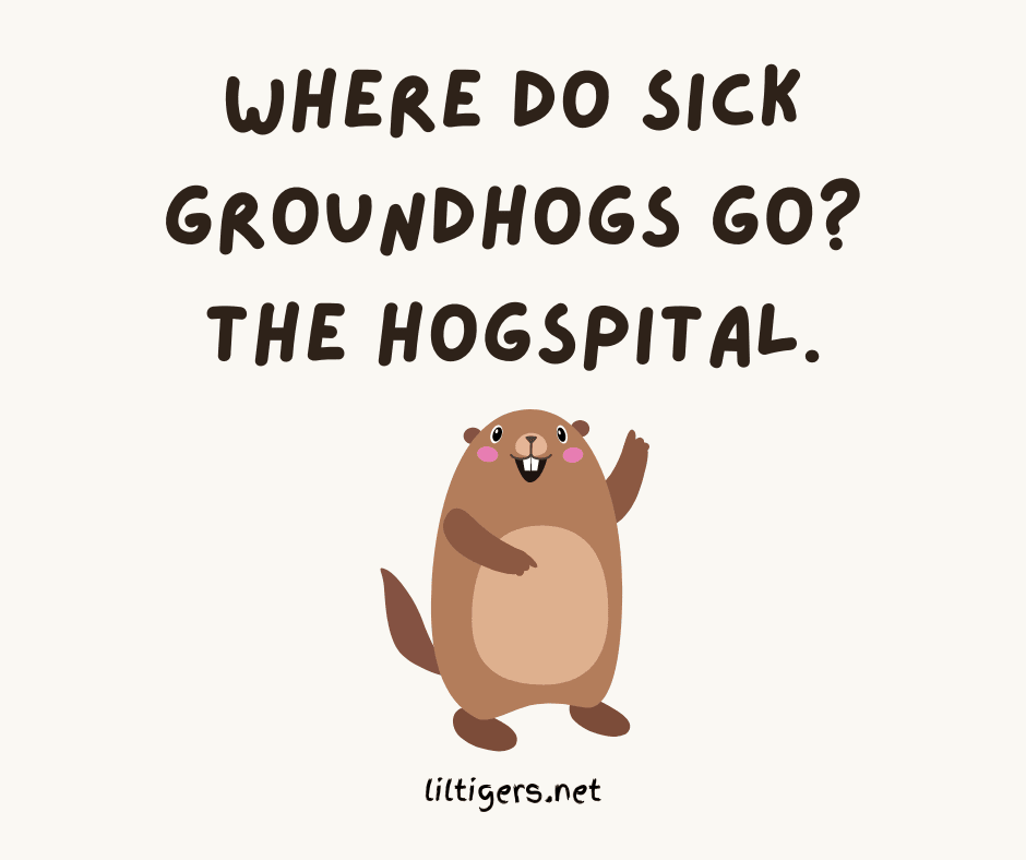 Funny Groundhog Day Puns