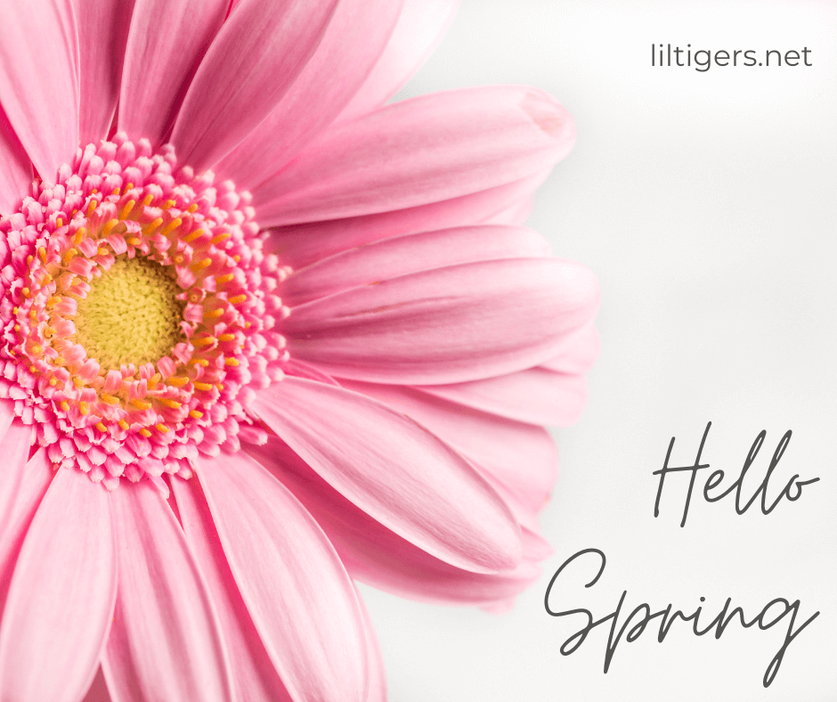 hello spring quotes