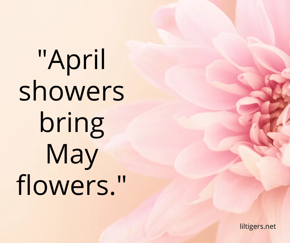 hello may quotes about spring