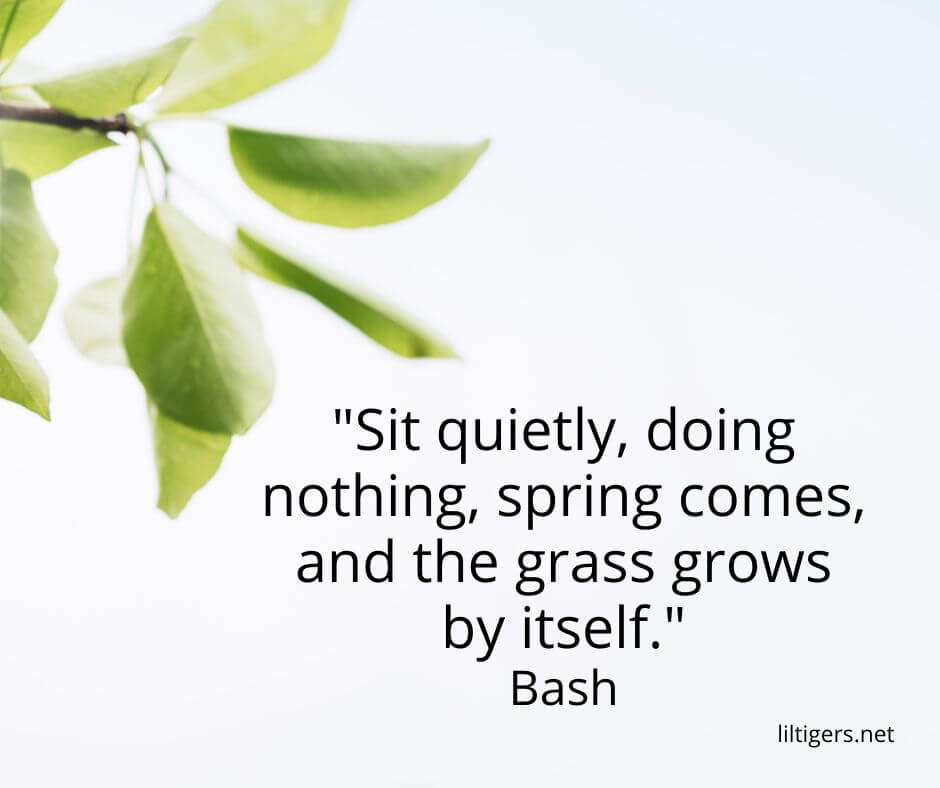 quotes about spring for kids