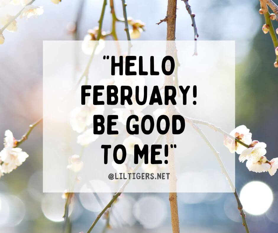 hello February Quotes