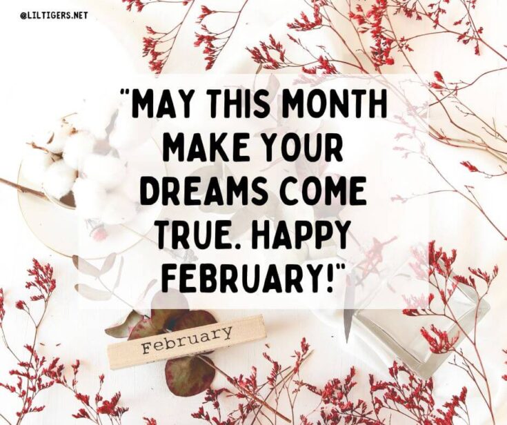 180 Inspiring Hello February Quotes - Lil Tigers