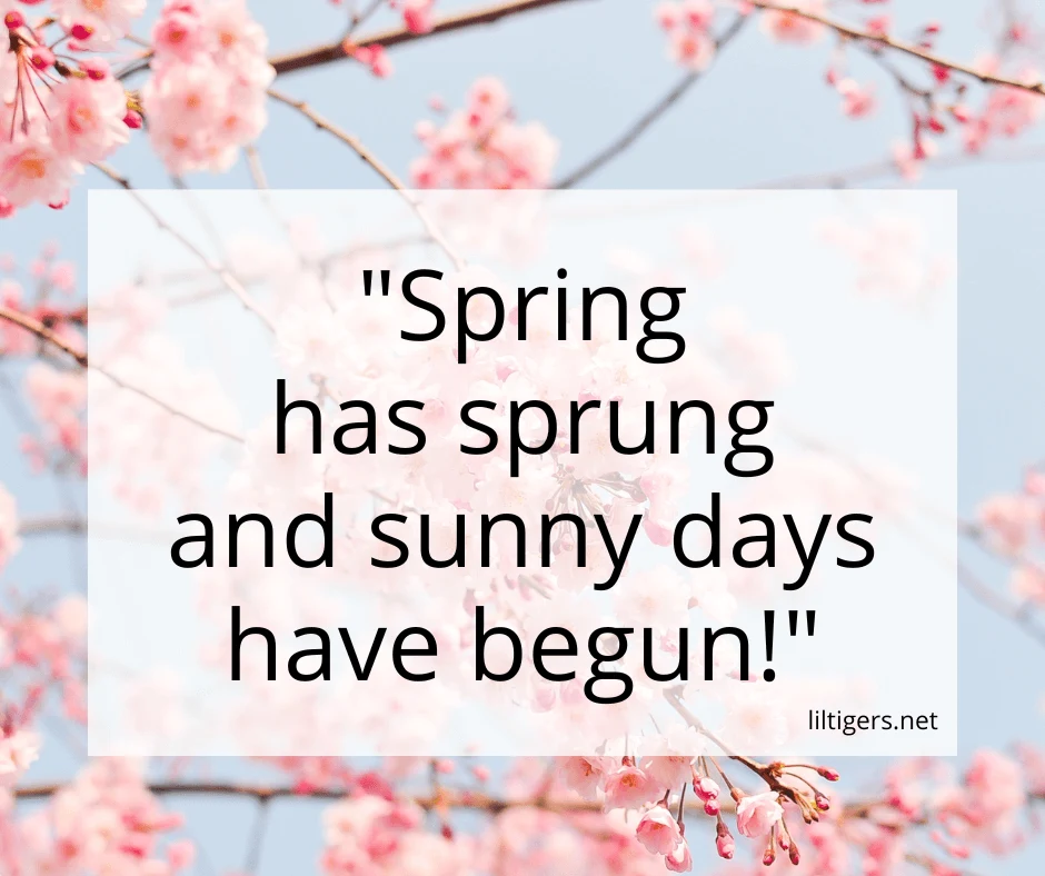 happy spring quotes for kids