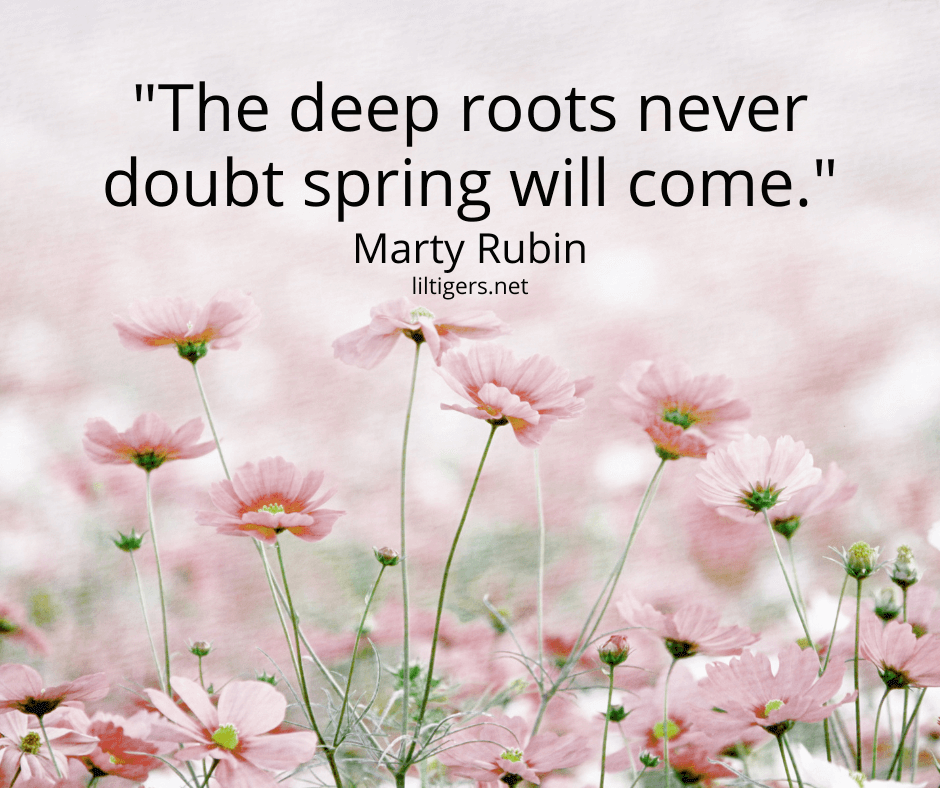 Quotes on Spring