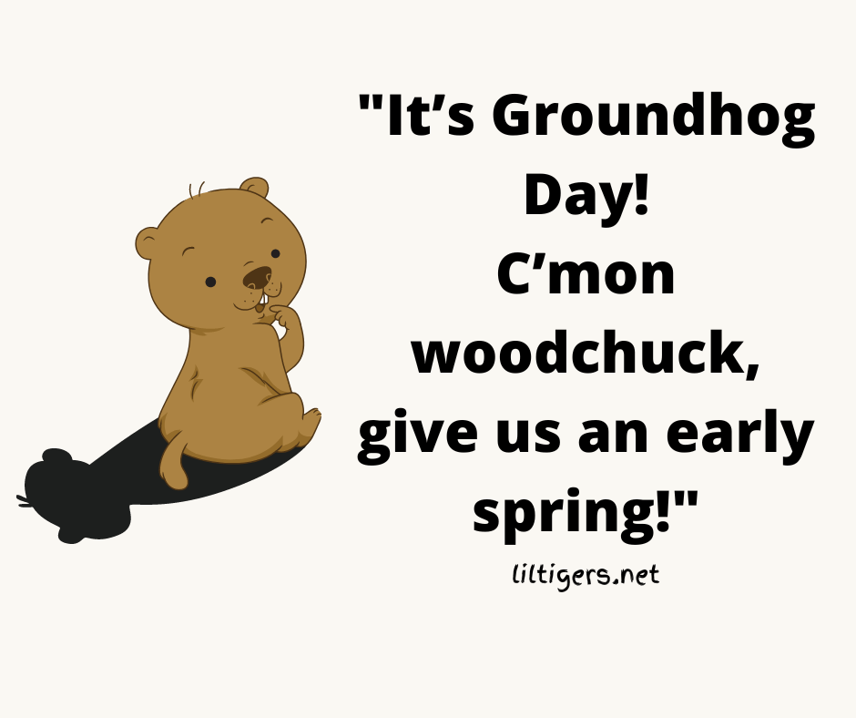 Groundhog Day phrases