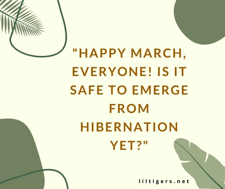 fun march quotes
