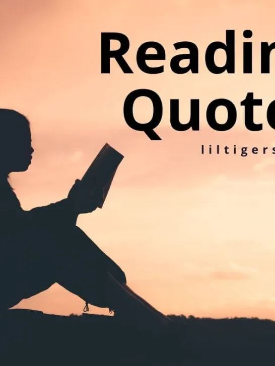 imagination reading quotes for kids