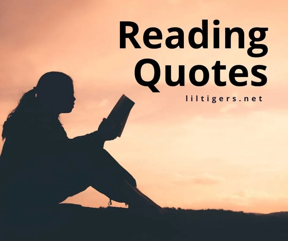 imagination reading quotes for kids