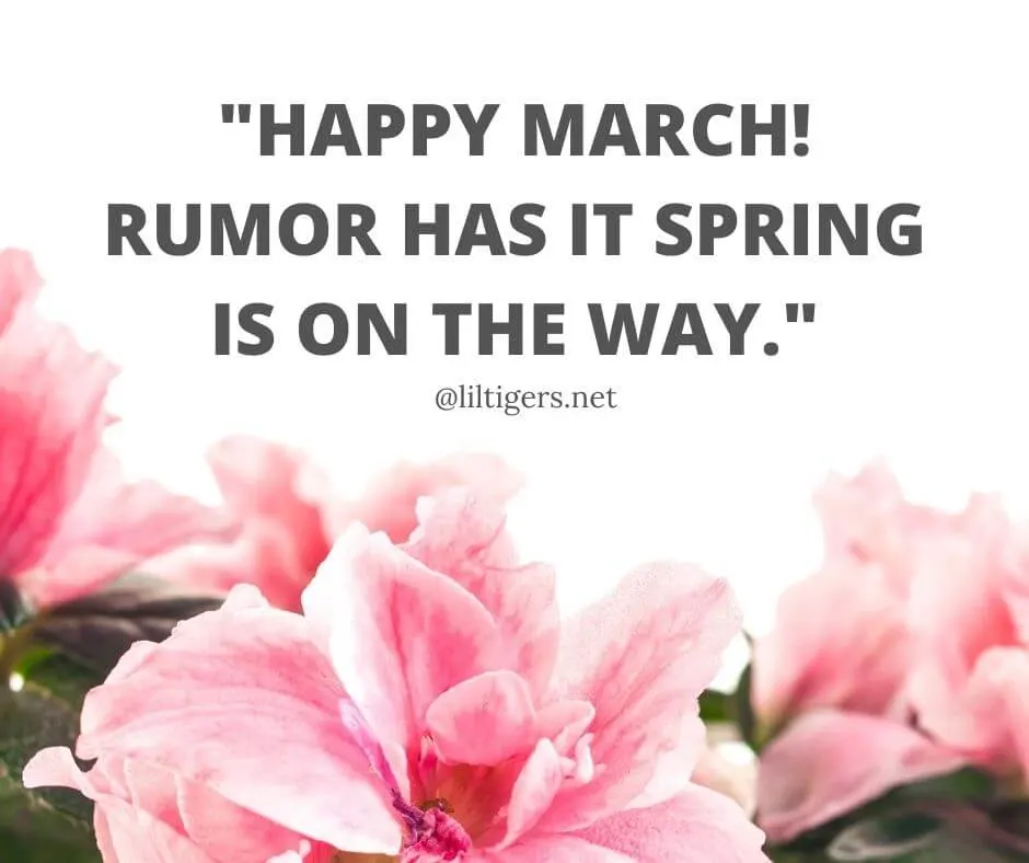 fun march quotes