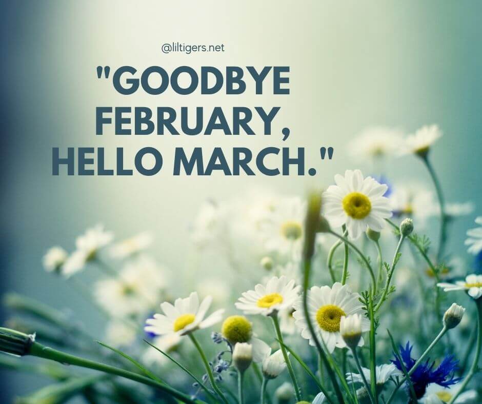 hello march captions