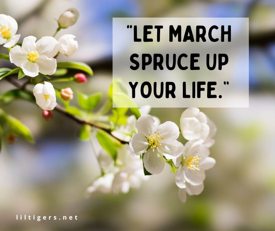 hello march quotes for kids