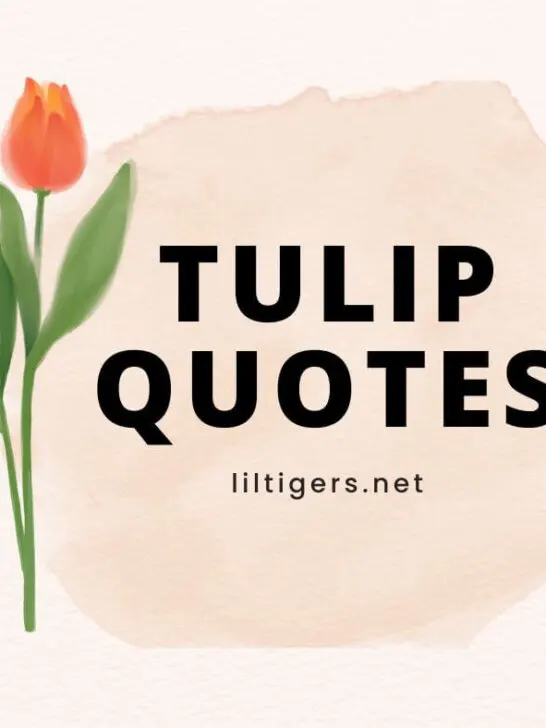 inspiring tulip quotes for kids