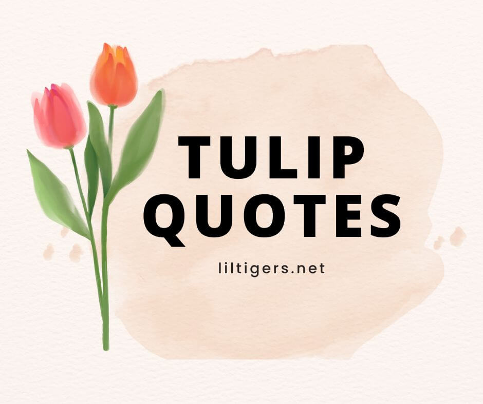 inspiring tulip quotes for kids