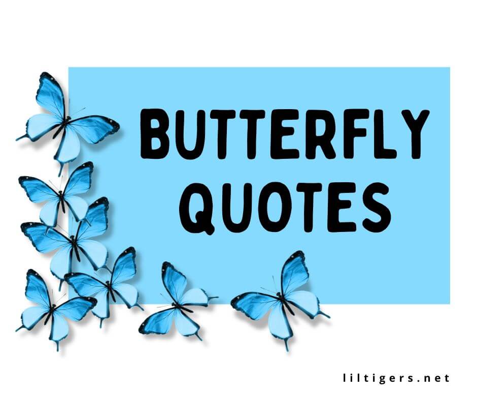 best butterfly quotes for kids