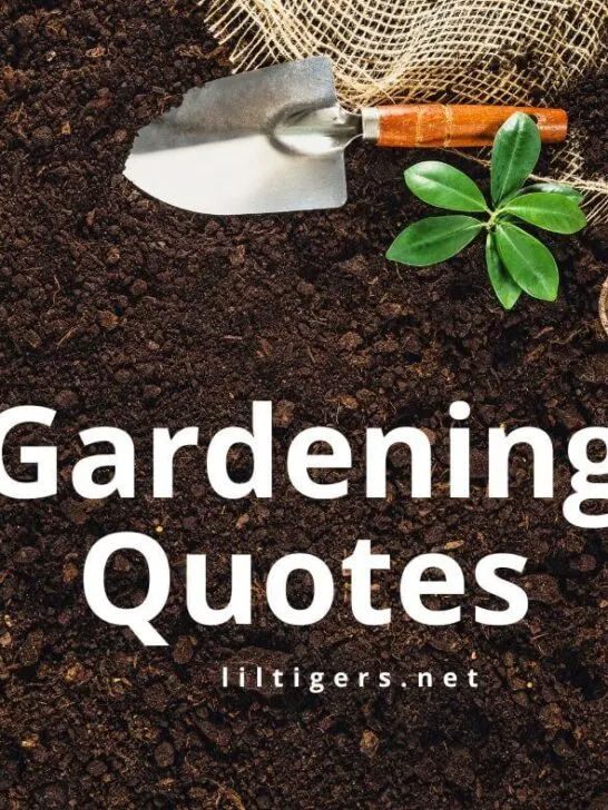 gardening quotes for kids