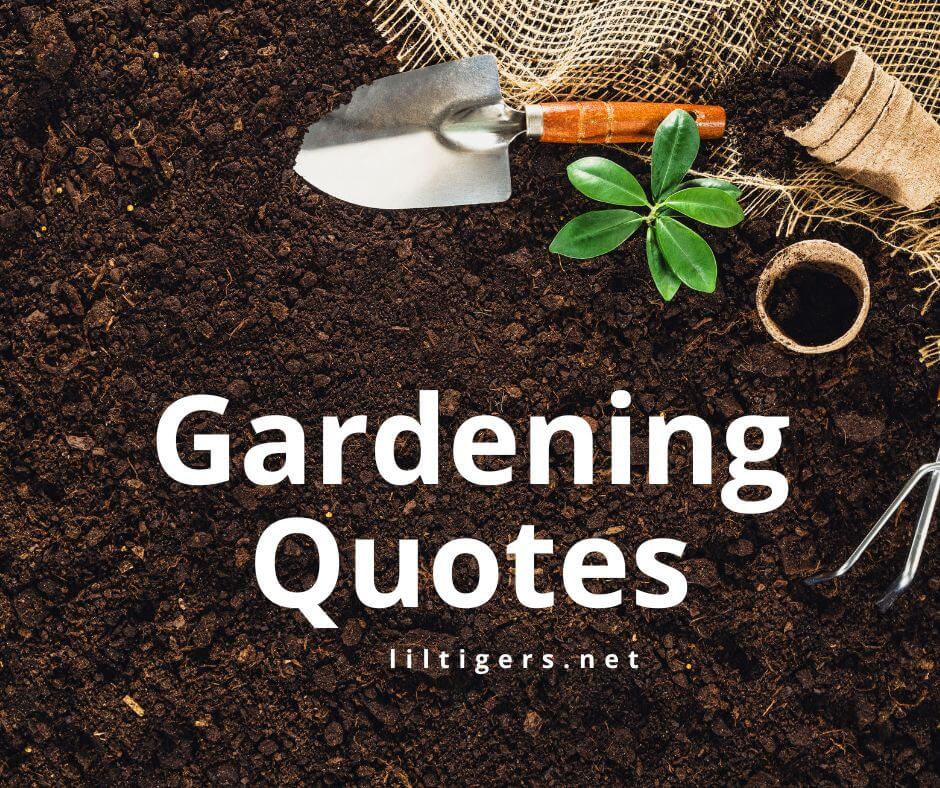 gardening quotes for kids