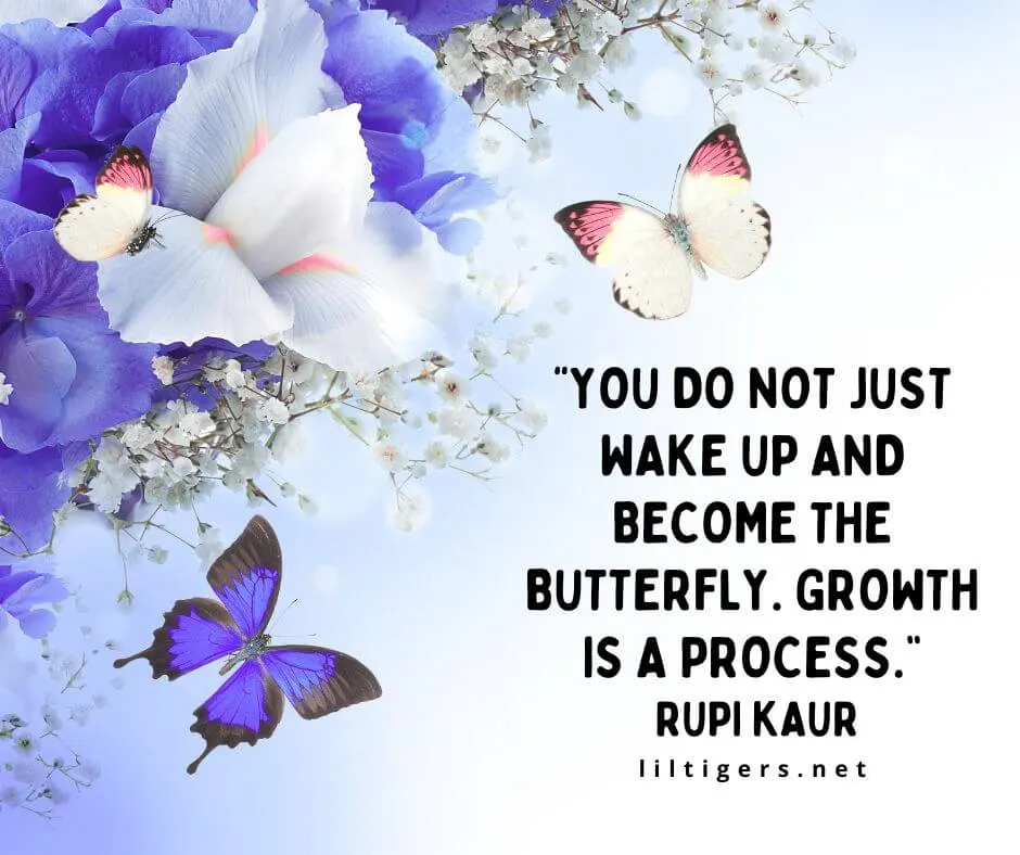 Inspirational Butterfly Quotes