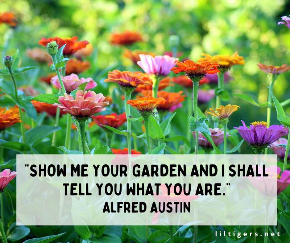 Funny Gardening Quotes for Kids