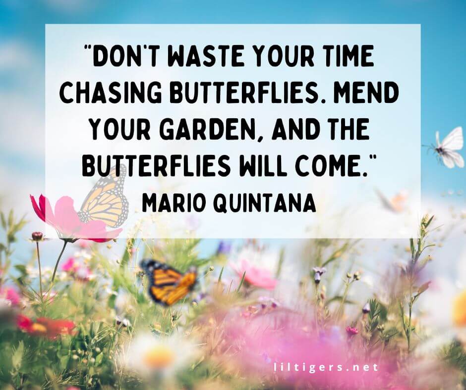 Inspiring Butterfly Quotes for kids