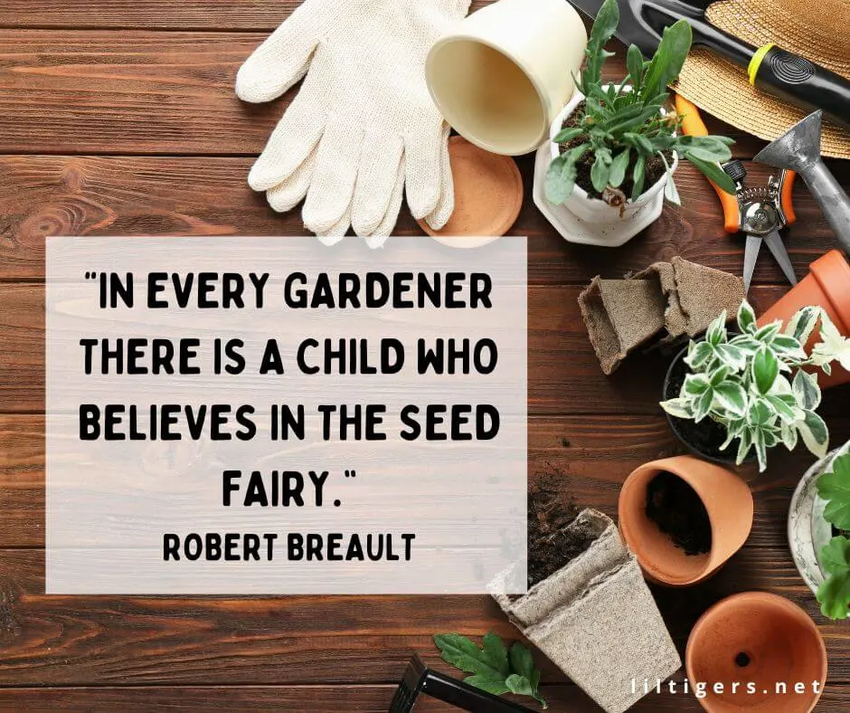 Gardener Quotes for kids