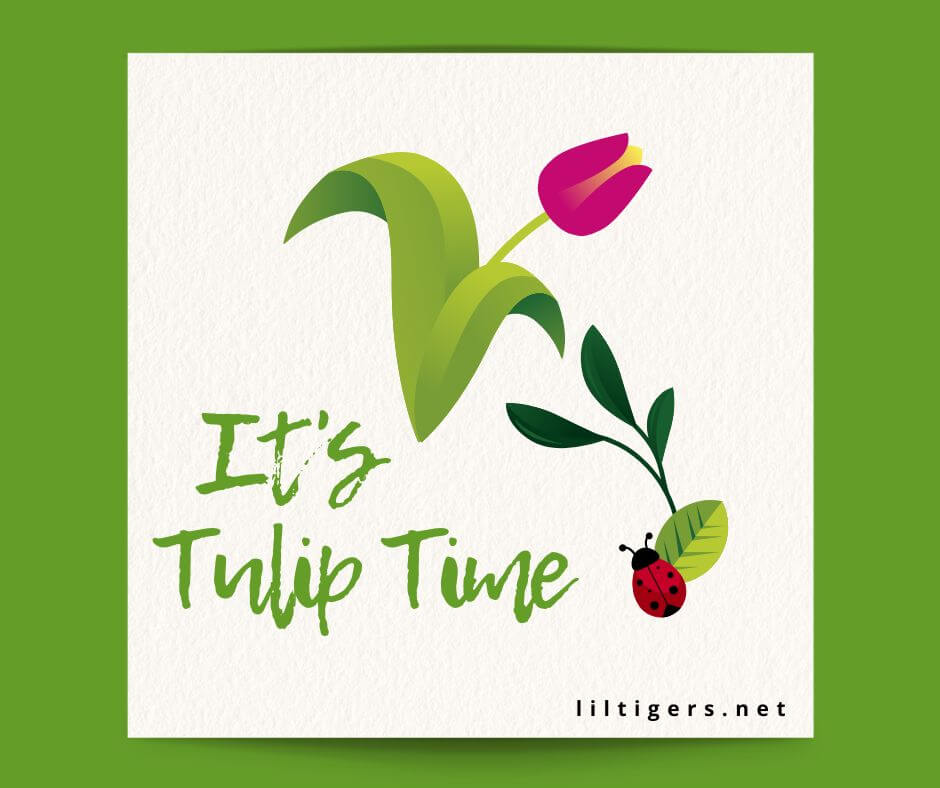 funny tulip captions