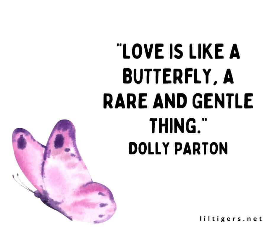 Butterfly Quotes About Love