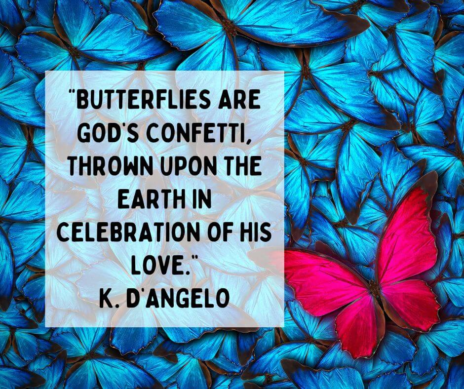 Butterfly Sayings About Love