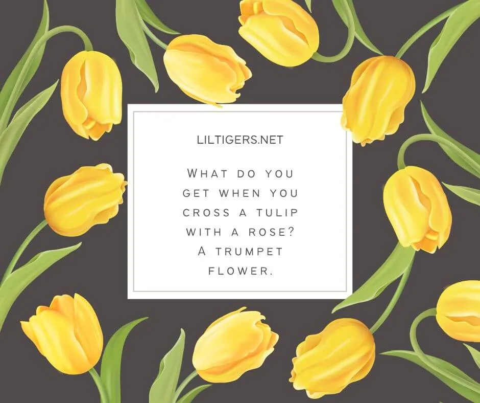 fun tulip puns for kids