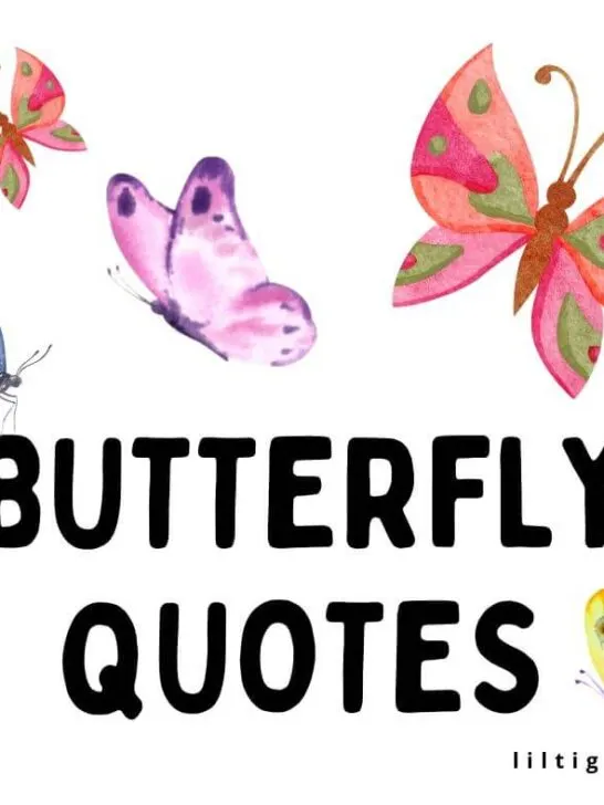 butterfly quotes for kids