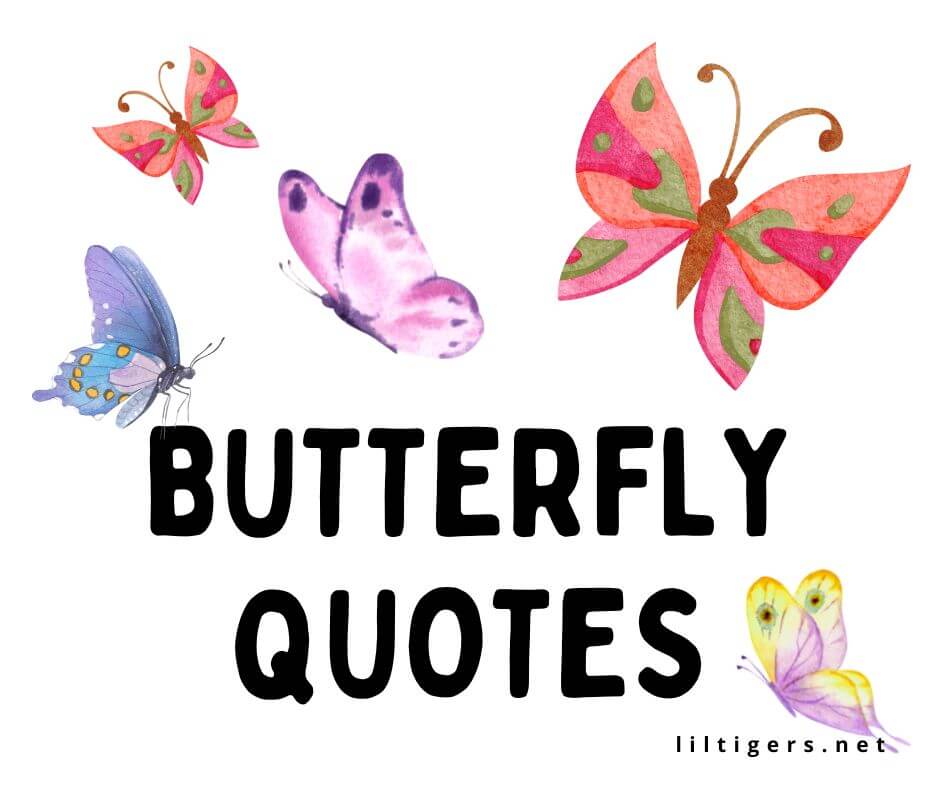 butterfly quotes for kids