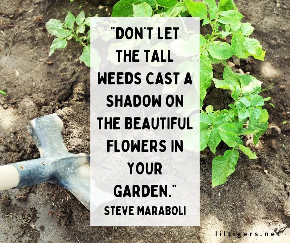 Gardening Quotes short