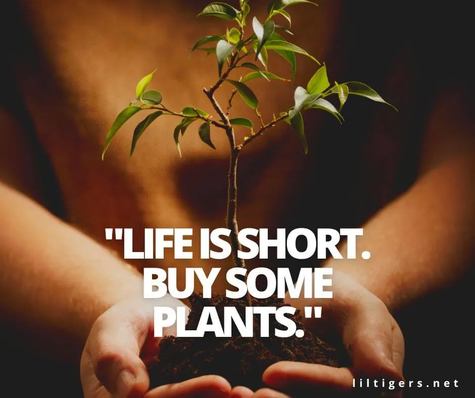 short garden quotes for kids