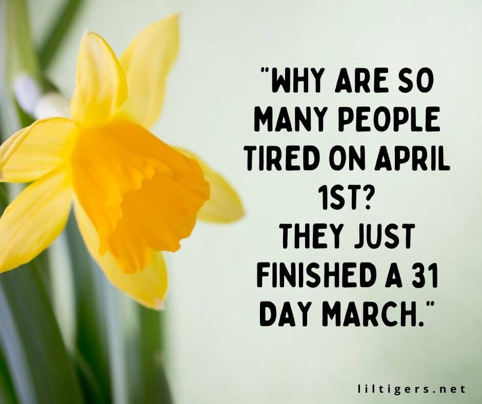 fun April quotes