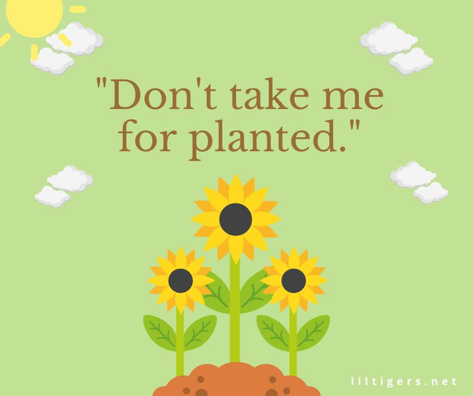 Funny Gardening Puns for kids