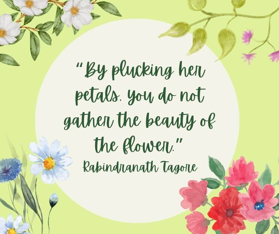 short garden quotes