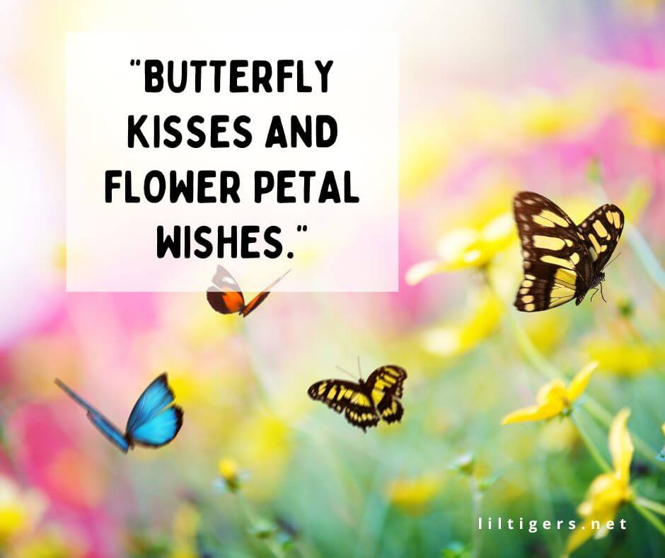 kids butterfly quotes and sayings